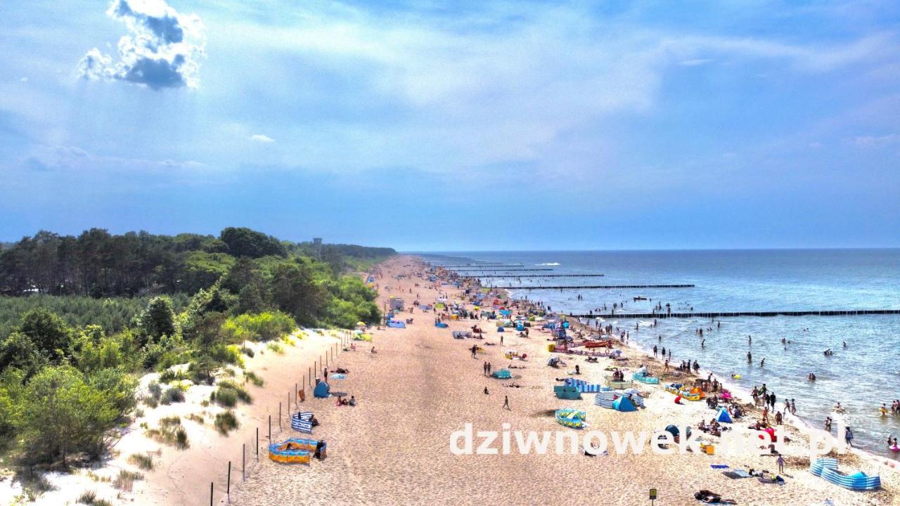 Sofia Apartment Dziwnowek Ngoại thất bức ảnh